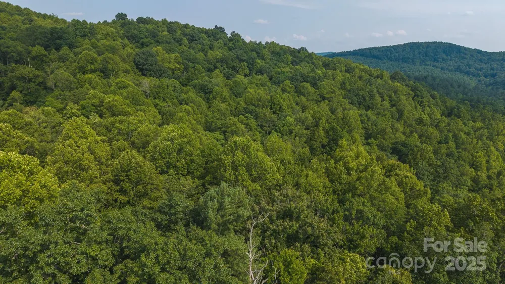 0 Brushy Mtn Road Moravian Falls, NC 28654