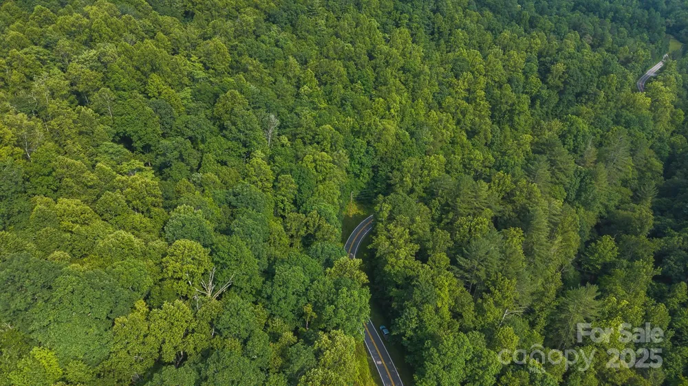 0 Brushy Mtn Road Moravian Falls, NC 28654