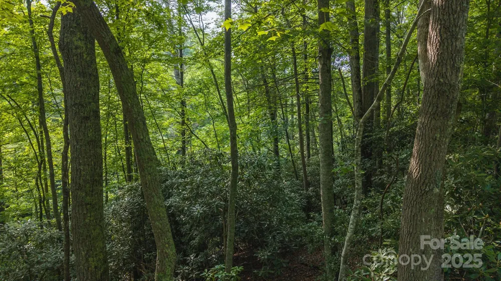 0 Brushy Mtn Road Moravian Falls, NC 28654