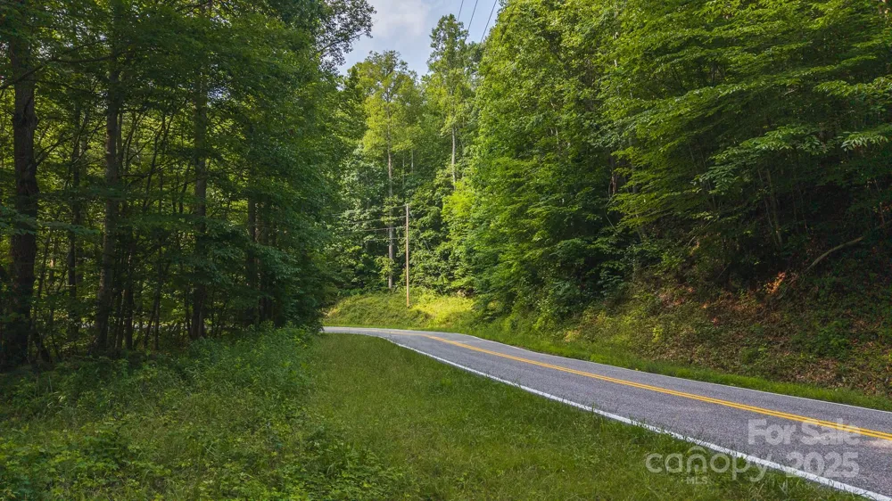 0 Brushy Mtn Road Moravian Falls, NC 28654