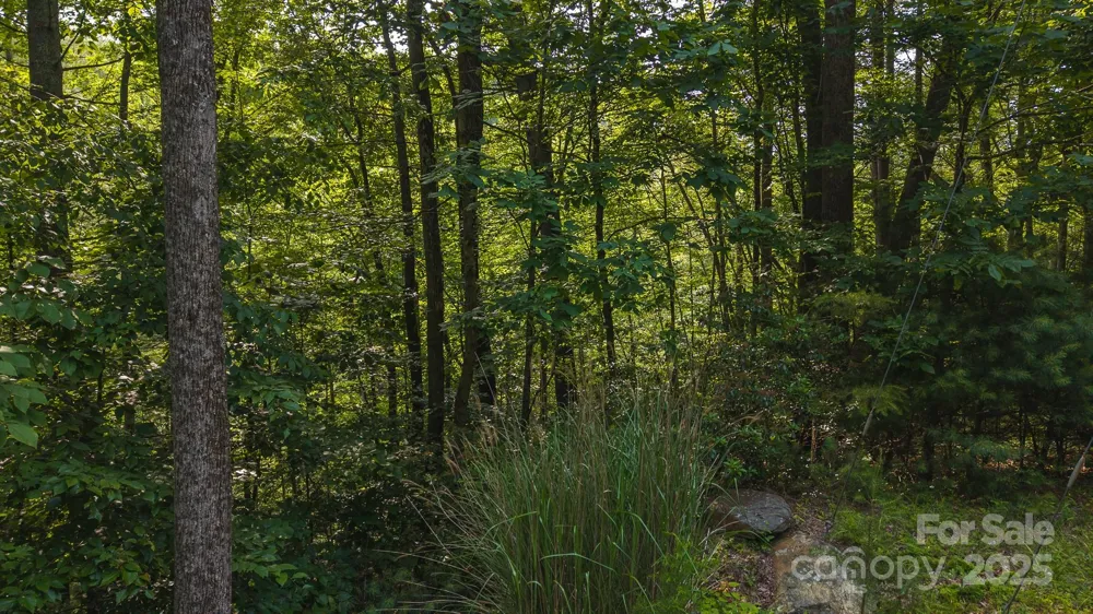 0 Brushy Mtn Road Moravian Falls, NC 28654