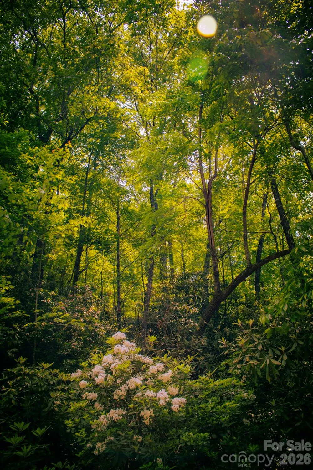 TBD Fox Den Road #57&59 Brevard, NC 28712