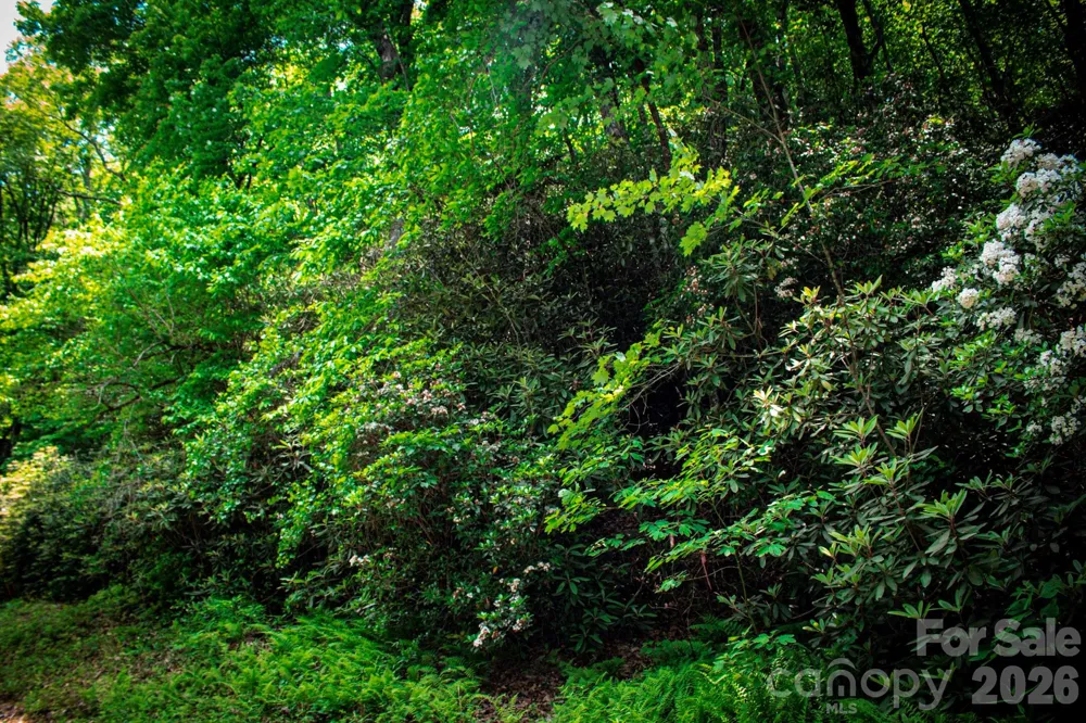 TBD Fox Den Road #57&59 Brevard, NC 28712