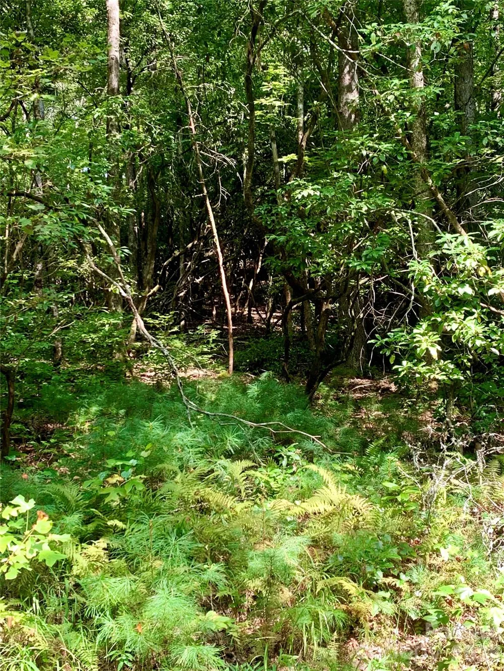 6 Double Creek Road #6 Brevard, NC 28712