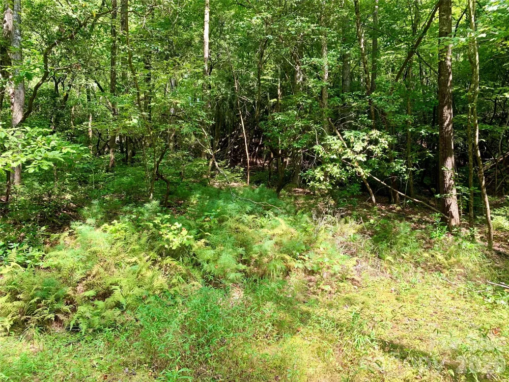 6 Double Creek Road #6 Brevard, NC 28712