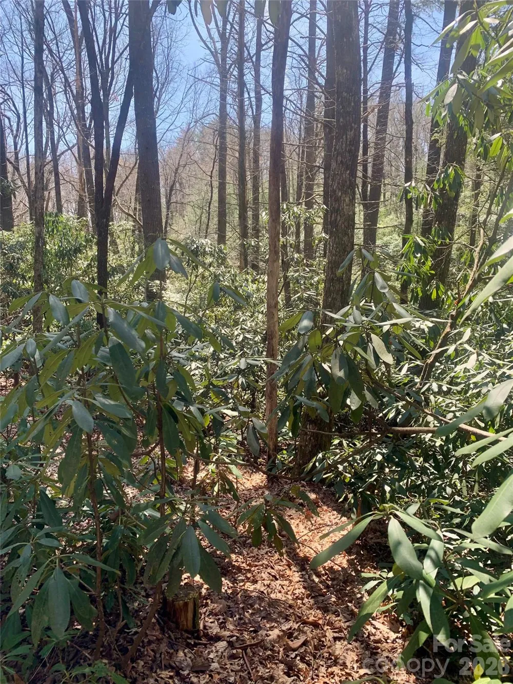 Lot 20A Indian Lake Road #20A Lake Toxaway, NC 28747