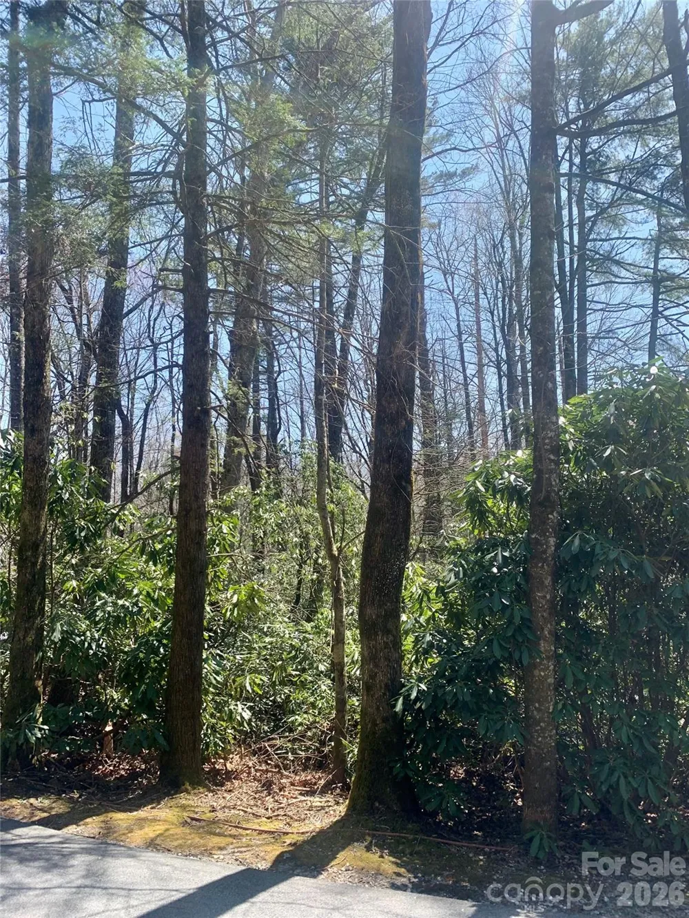 Lot 20A Indian Lake Road #20A Lake Toxaway, NC 28747