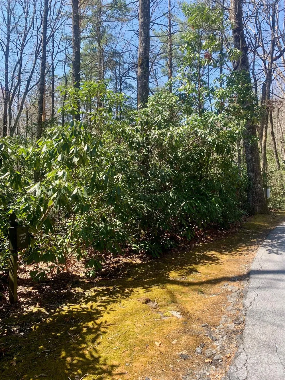 Lot 20A Indian Lake Road #20A Lake Toxaway, NC 28747