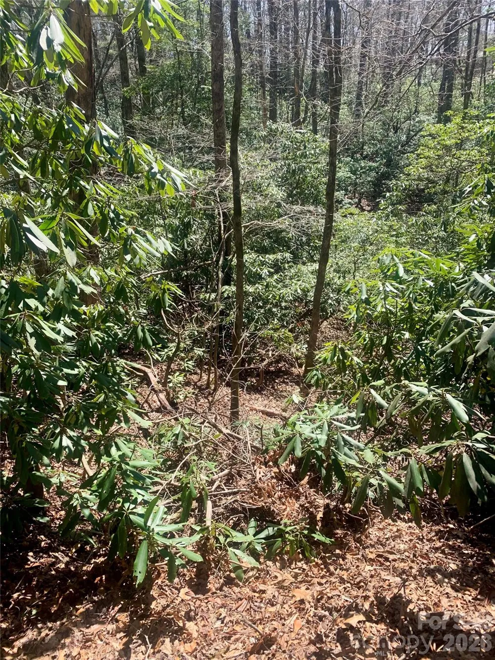 Lot 20A Indian Lake Road #20A Lake Toxaway, NC 28747