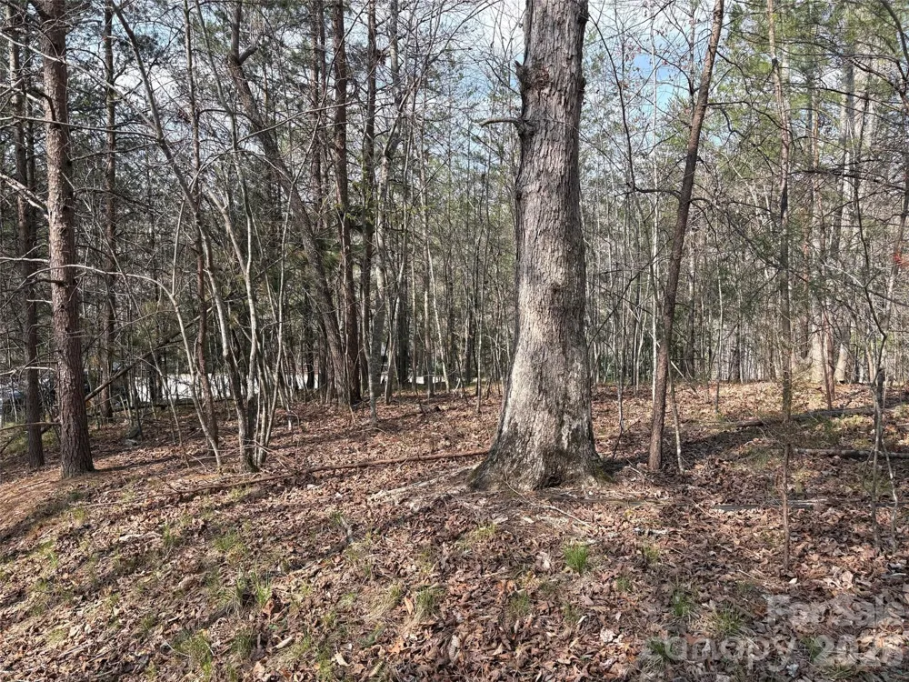 0 Valley Drive #142 Rutherfordton, NC 28139