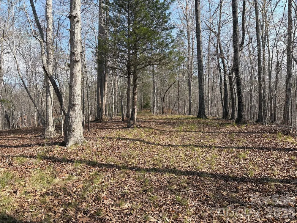 0 Valley Drive #142 Rutherfordton, NC 28139