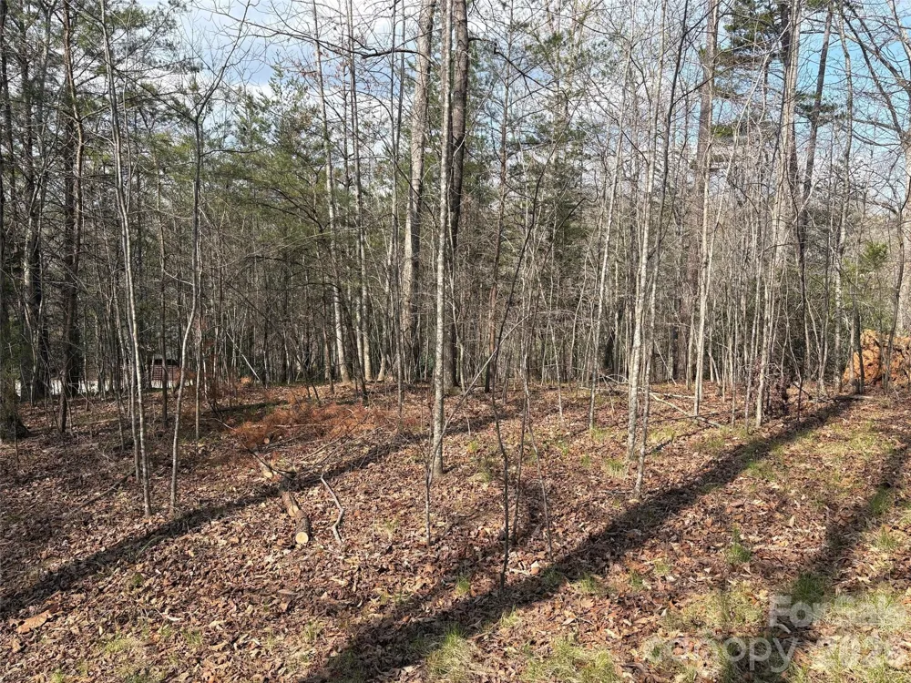 0 Valley Drive #142 Rutherfordton, NC 28139