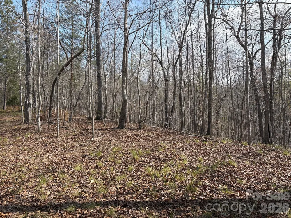 0 Valley Drive #142 Rutherfordton, NC 28139