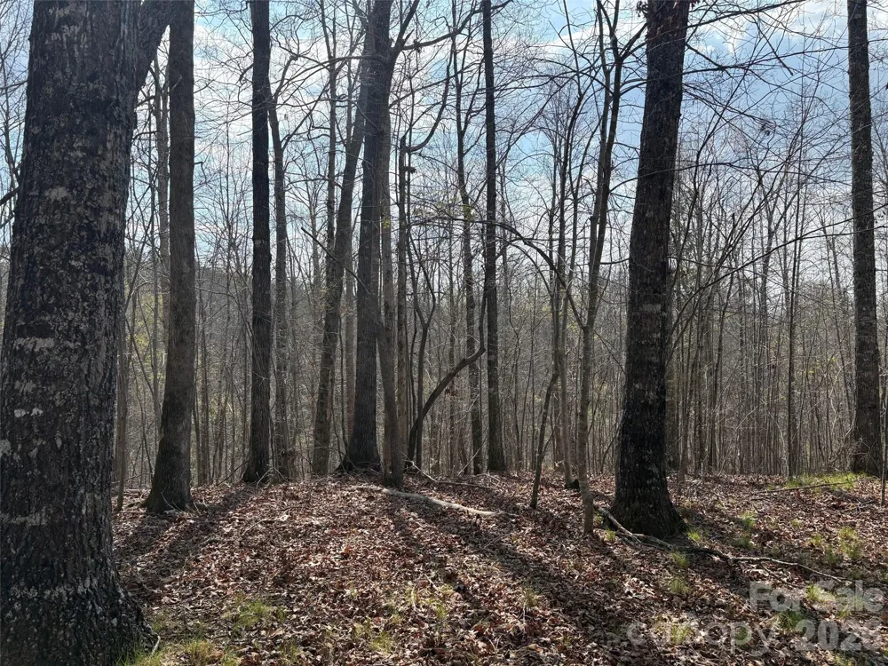 0 Valley Drive #142 Rutherfordton, NC 28139