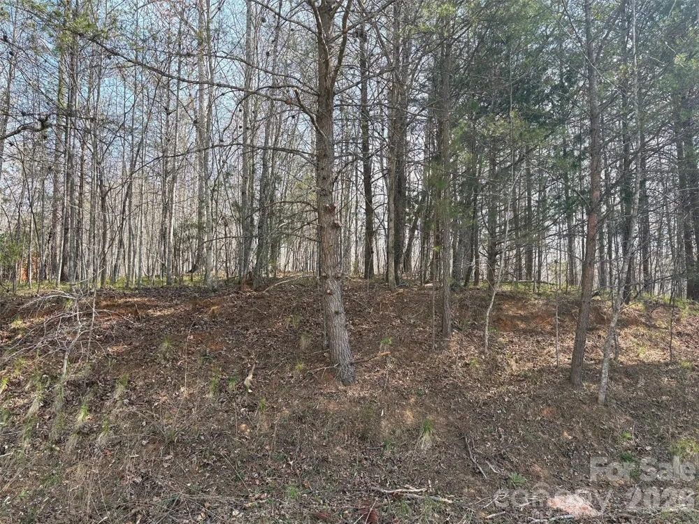 0 Valley Drive #142 Rutherfordton, NC 28139