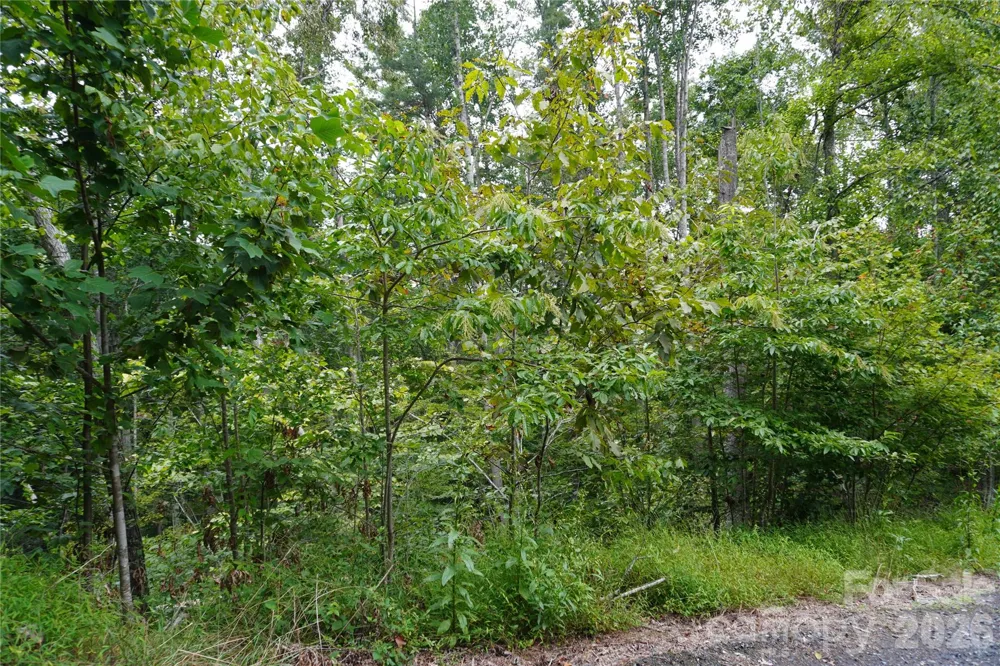 0000 High Peak Drive #16 Burnsville, NC 28740
