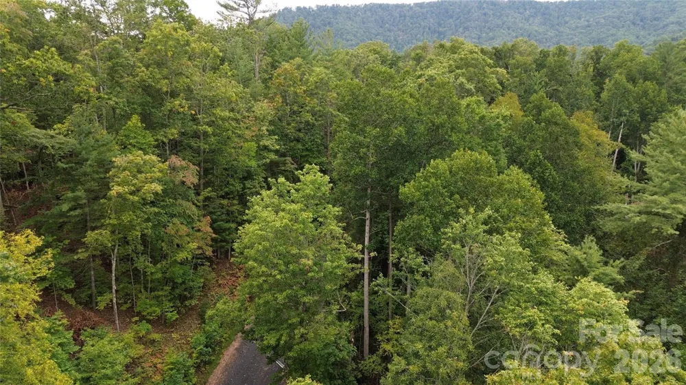 0000 High Peak Drive #16 Burnsville, NC 28740