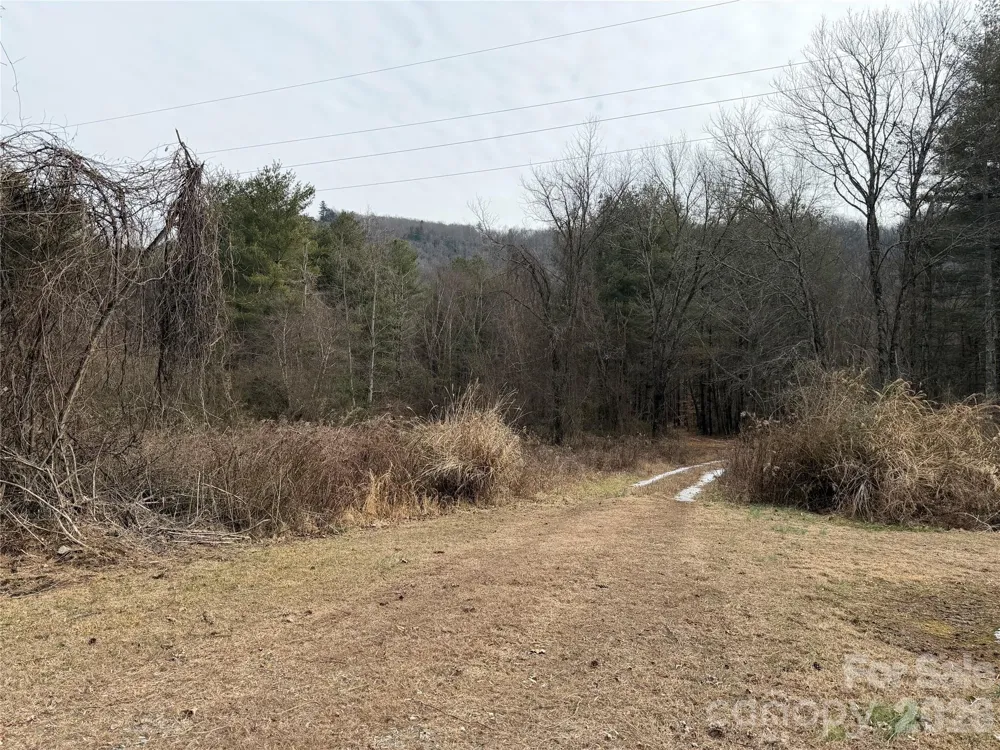 000 Valley Green Drive Penrose, NC 28768