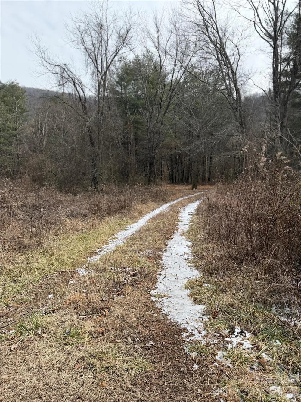 000 Valley Green Drive Penrose, NC 28768