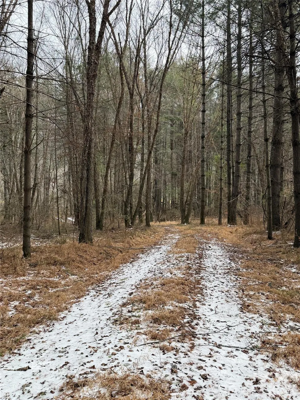 000 Valley Green Drive Penrose, NC 28768