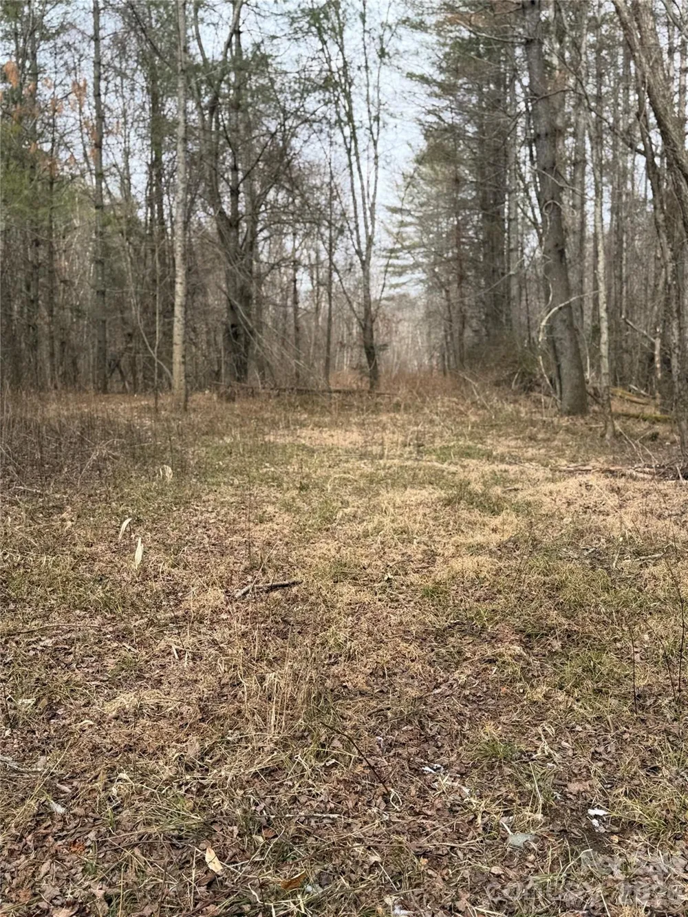 000 Valley Green Drive Penrose, NC 28768