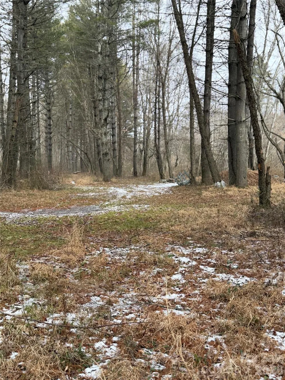 000 Valley Green Drive Penrose, NC 28768