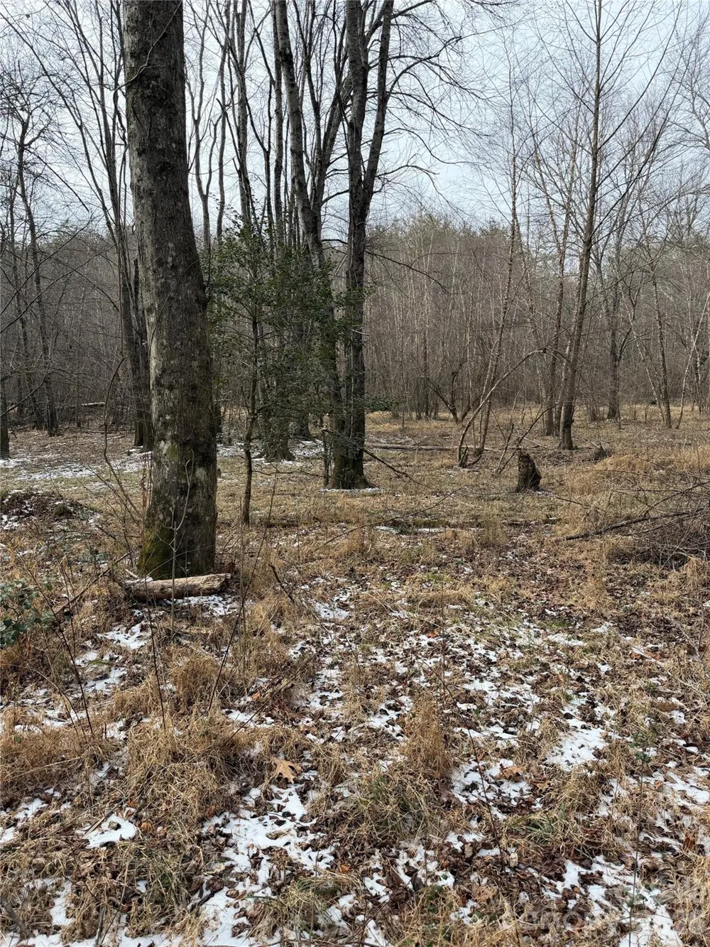 000 Valley Green Drive Penrose, NC 28768