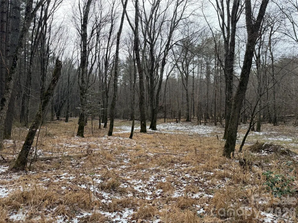 000 Valley Green Drive Penrose, NC 28768