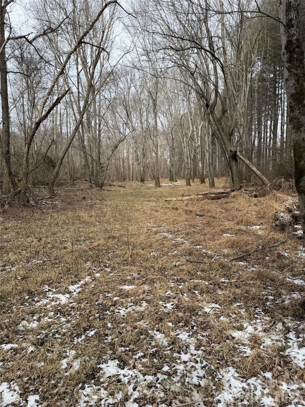 000 Valley Green Drive Penrose, NC 28768