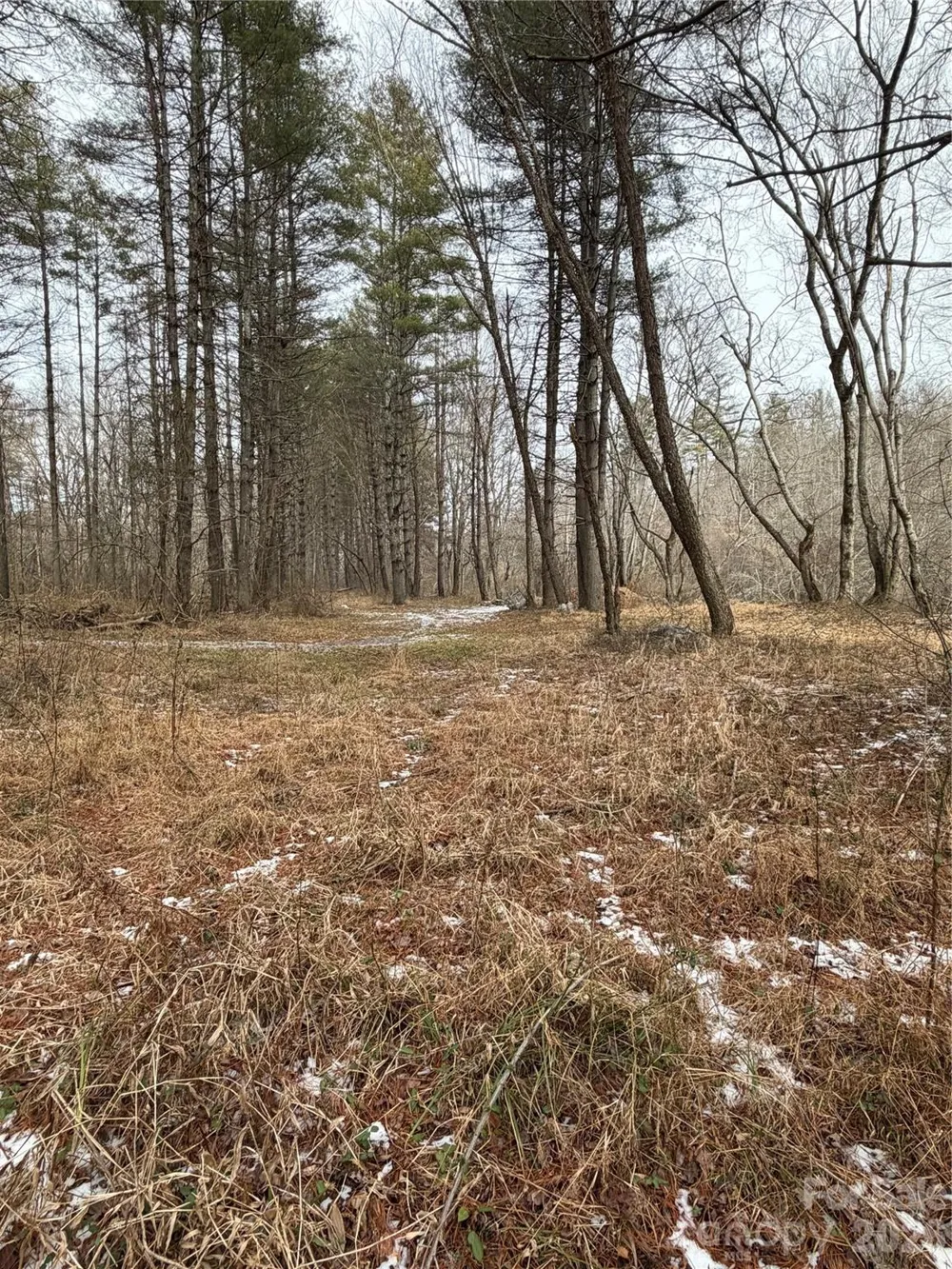 000 Valley Green Drive Penrose, NC 28768