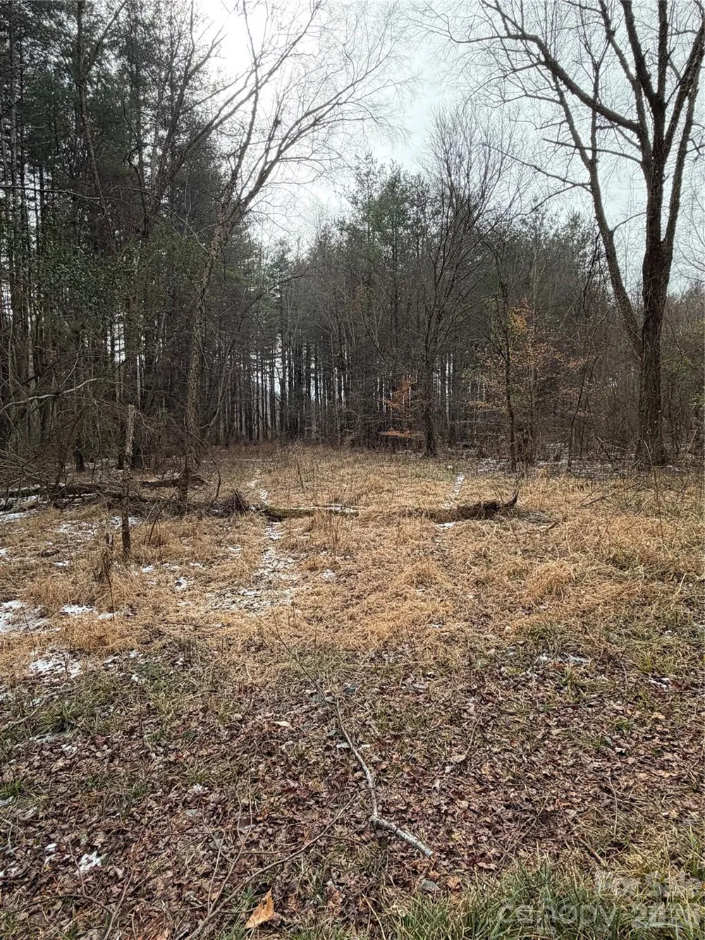 000 Valley Green Drive Penrose, NC 28768