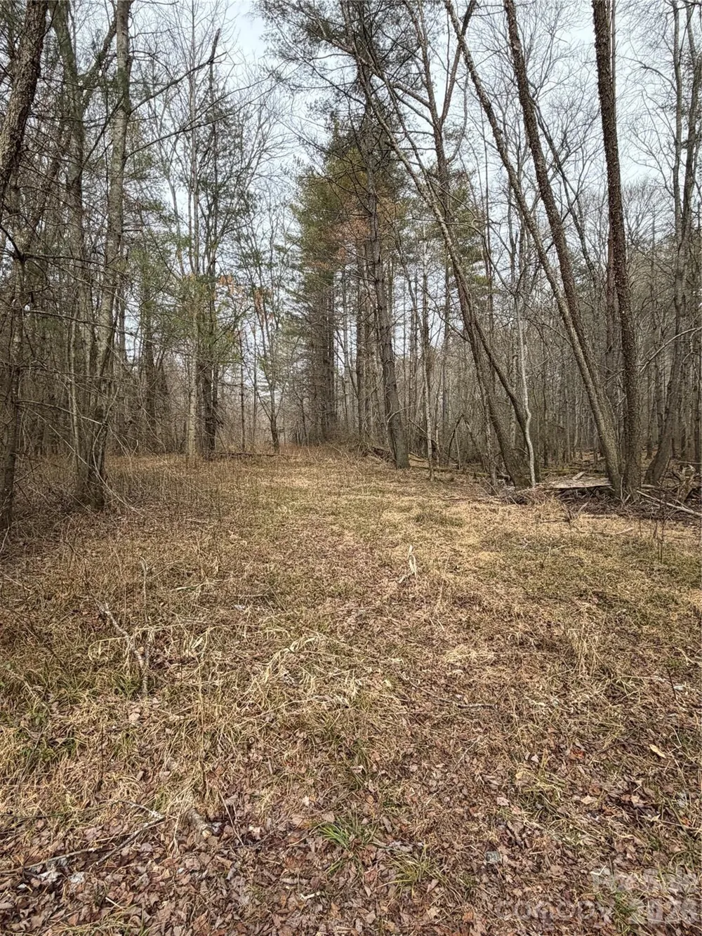 000 Valley Green Drive Penrose, NC 28768