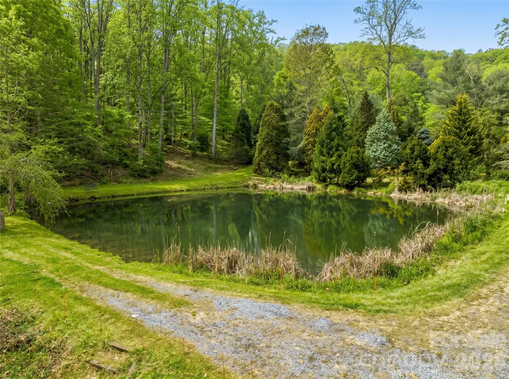 198 Brooks Branch Road Leicester, NC 28748