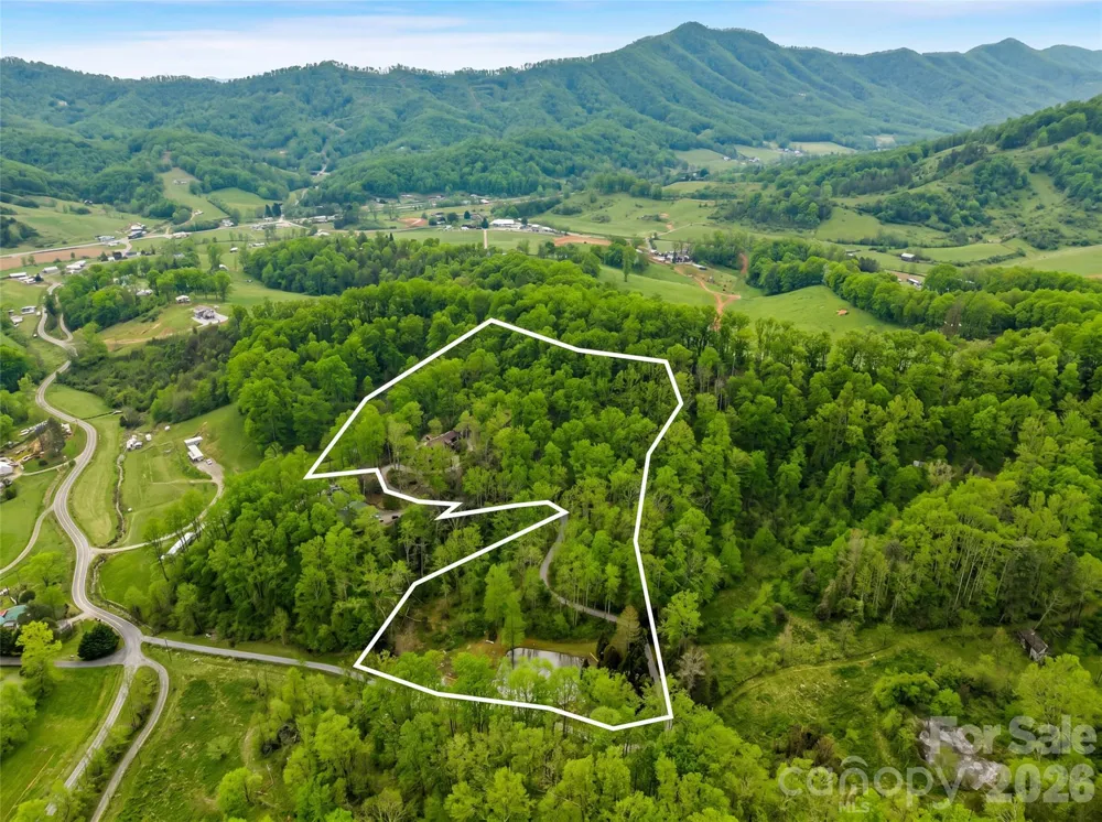 198 Brooks Branch Road Leicester, NC 28748