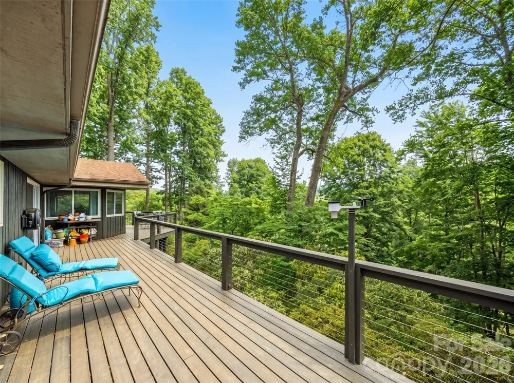 198 Brooks Branch Road Leicester, NC 28748