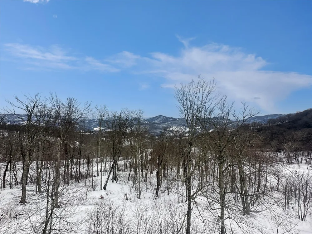 102 Sugar Ski Drive #232 Sugar Mountain, NC 28604