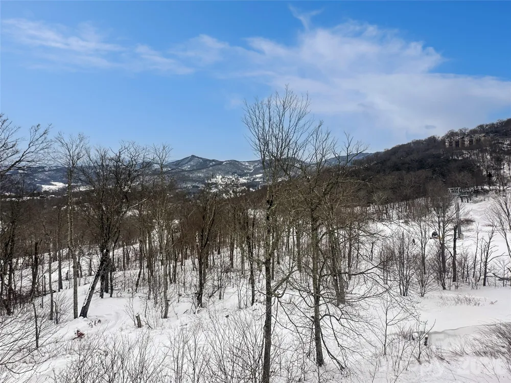 102 Sugar Ski Drive #232 Sugar Mountain, NC 28604