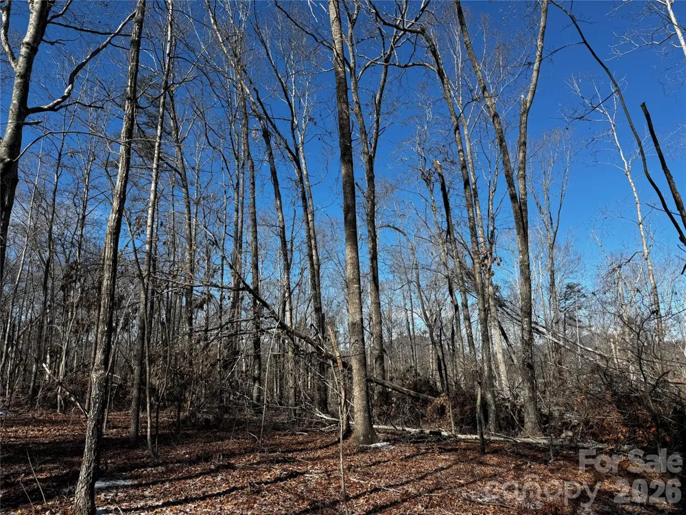 0 Painters Gap Road Union Mills, NC 28167