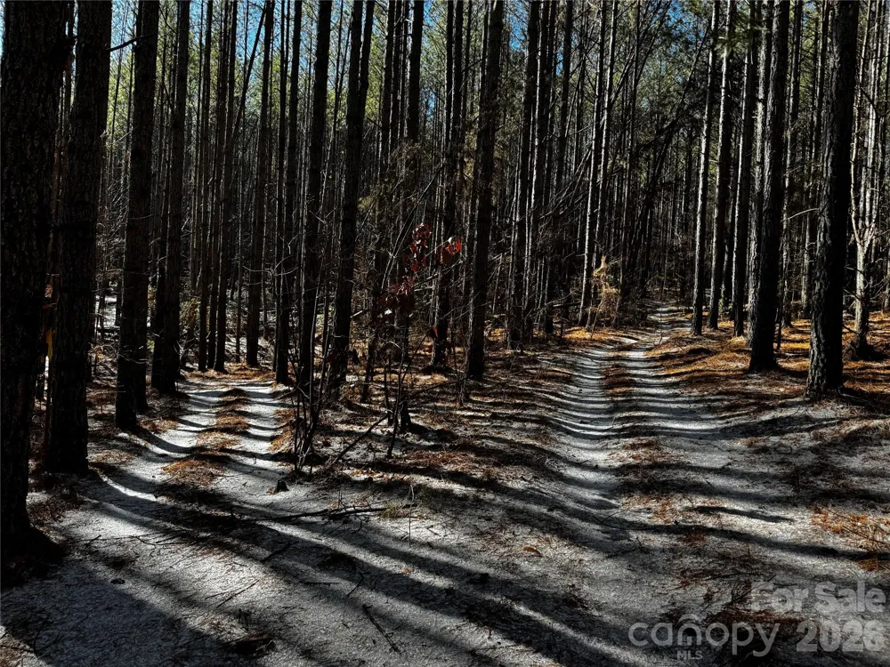 0 Painters Gap Road Union Mills, NC 28167
