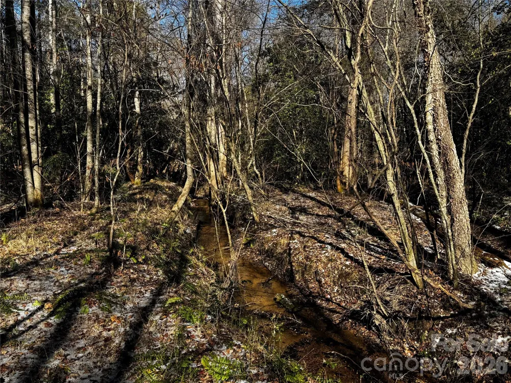 0 Painters Gap Road Union Mills, NC 28167
