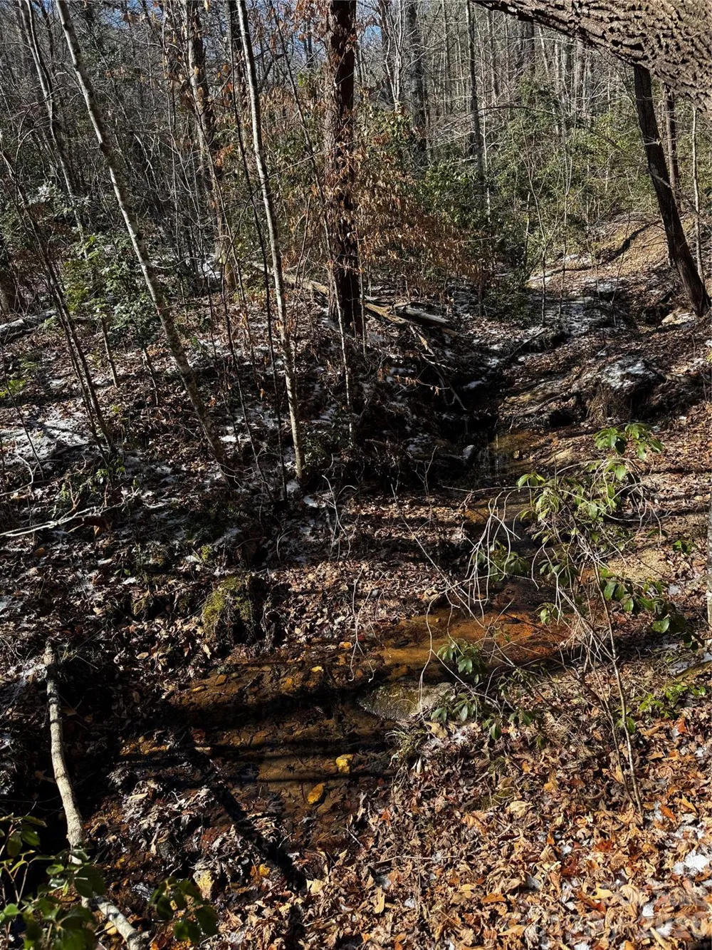 0 Painters Gap Road Union Mills, NC 28167