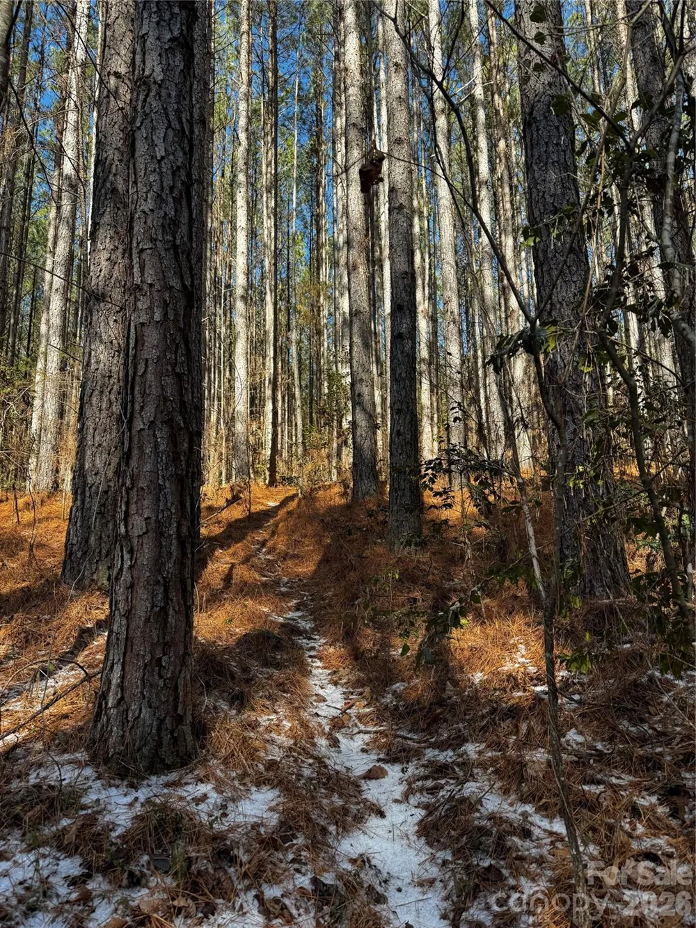 0 Painters Gap Road Union Mills, NC 28167