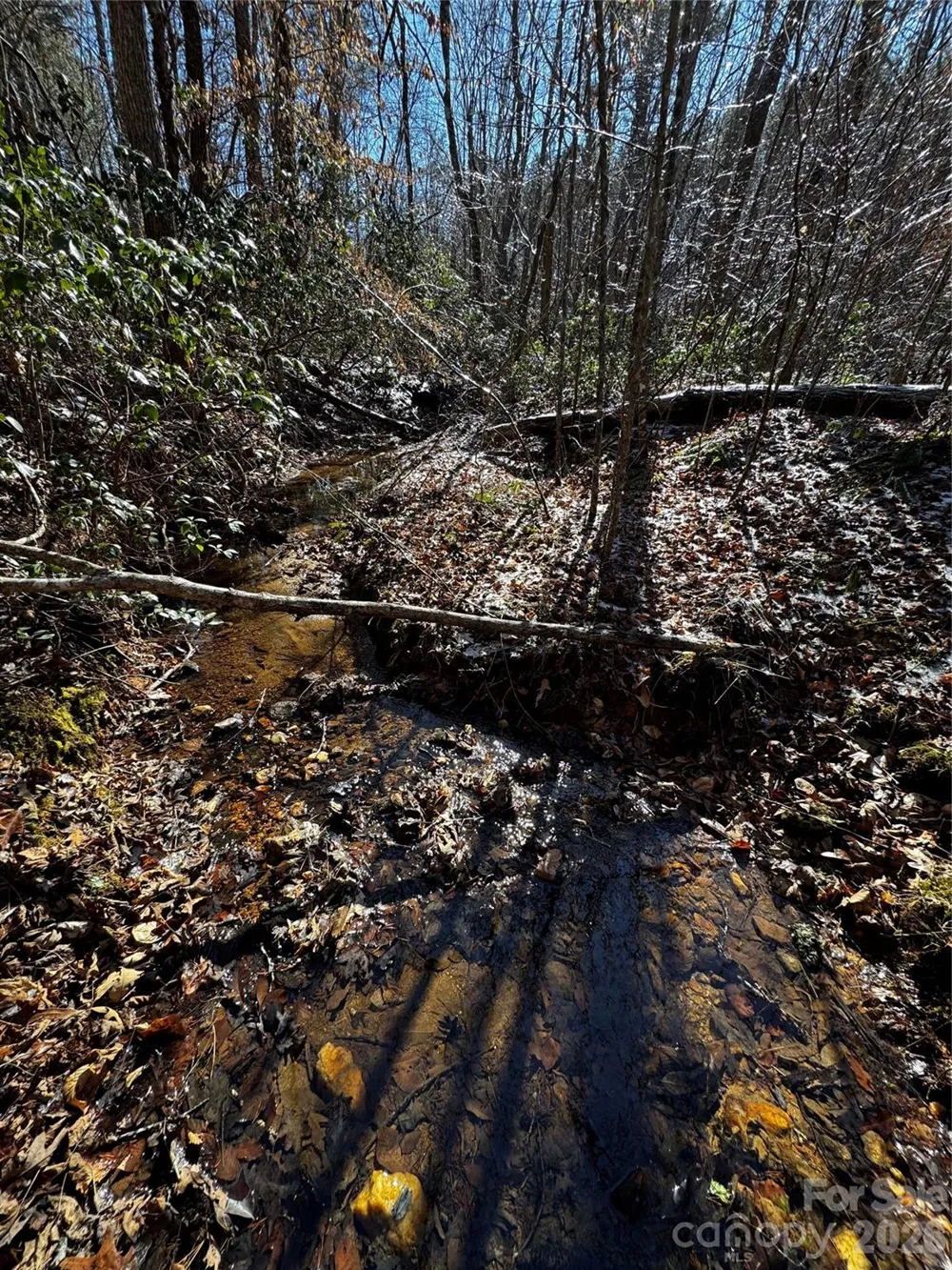0 Painters Gap Road Union Mills, NC 28167