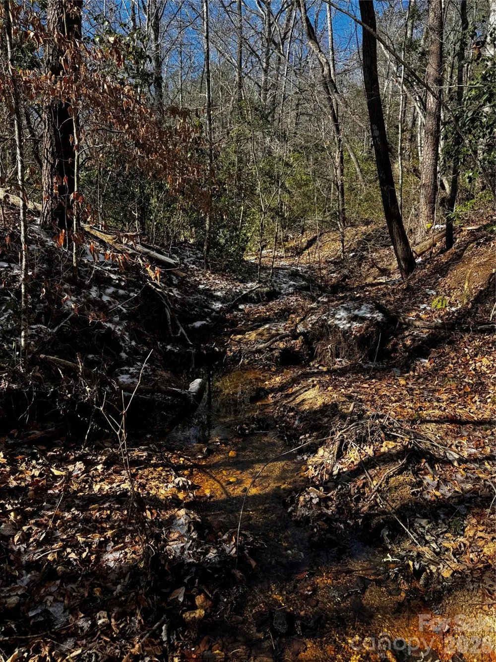 0 Painters Gap Road Union Mills, NC 28167