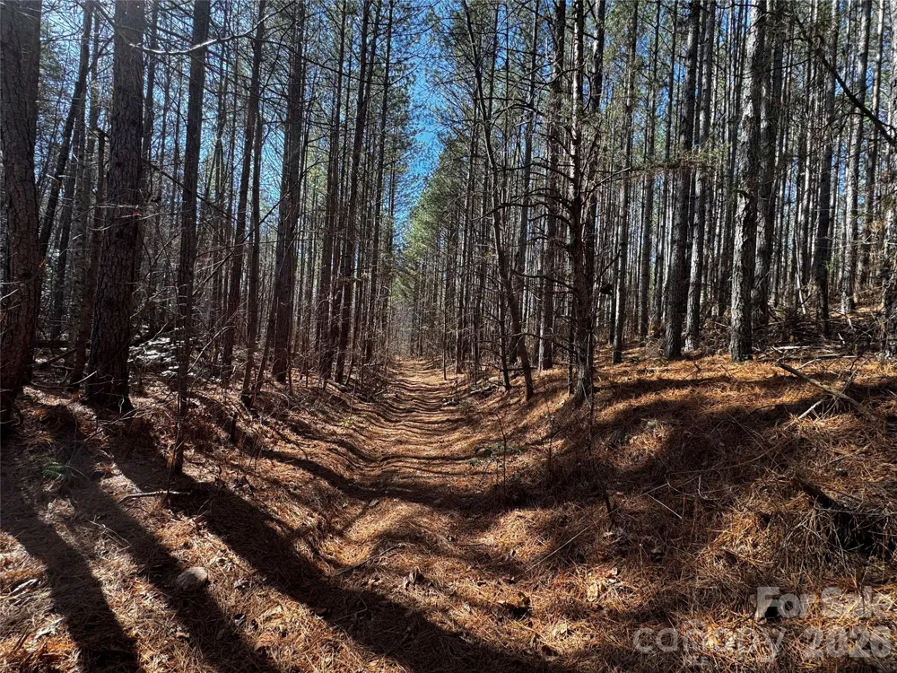 0 Painters Gap Road Union Mills, NC 28167