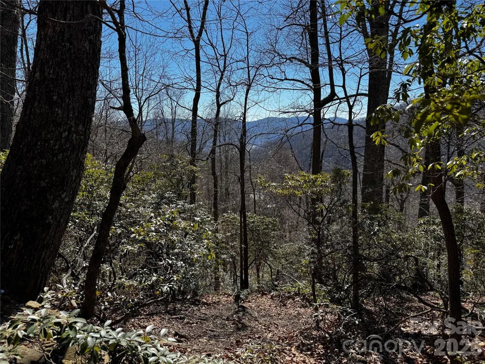 TBD Acacia Court #936 Black Mountain, NC 28711