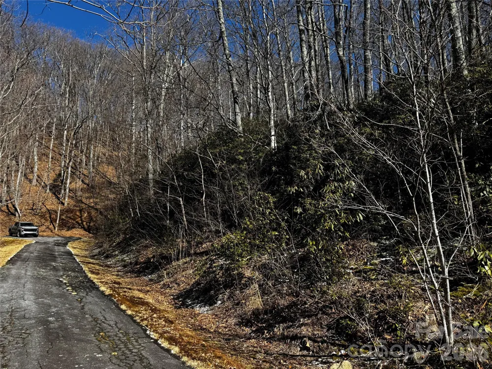 TBD Acacia Court #936 Black Mountain, NC 28711