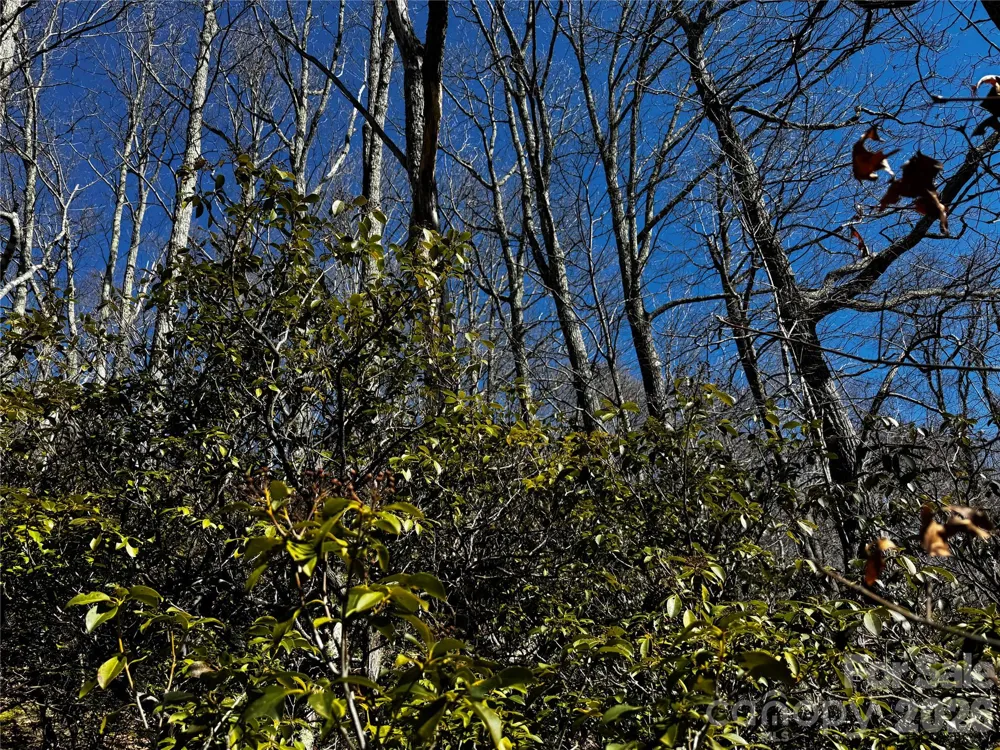 TBD Acacia Court #936 Black Mountain, NC 28711
