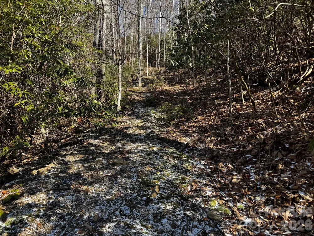 TBD Acacia Court #936 Black Mountain, NC 28711