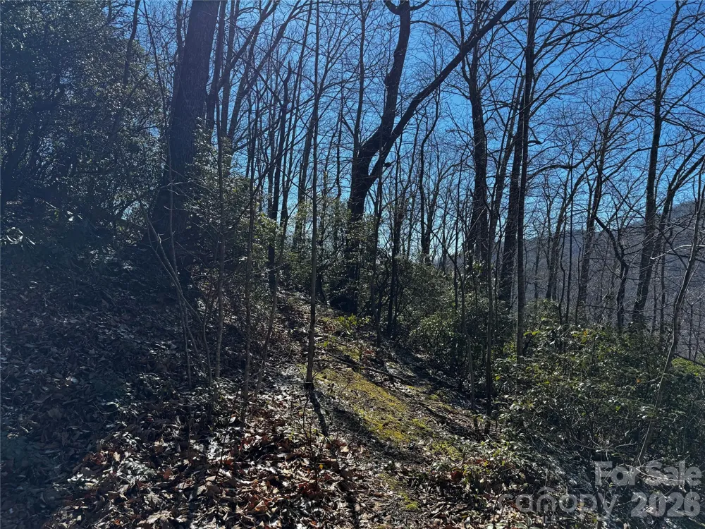 TBD Acacia Court #936 Black Mountain, NC 28711